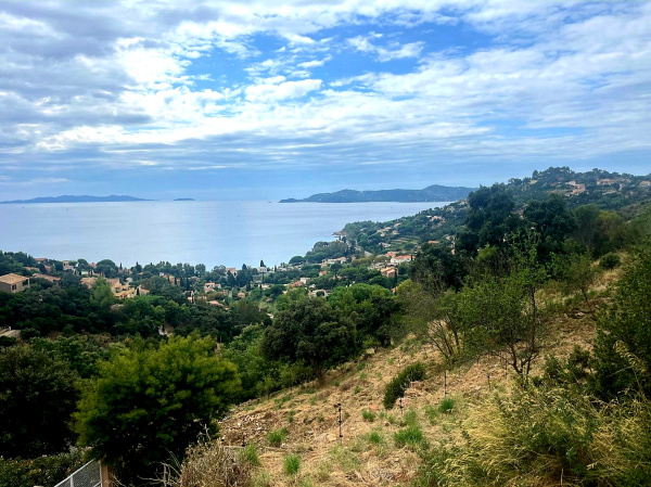 Offres de vente Terrain Le Lavandou 83980